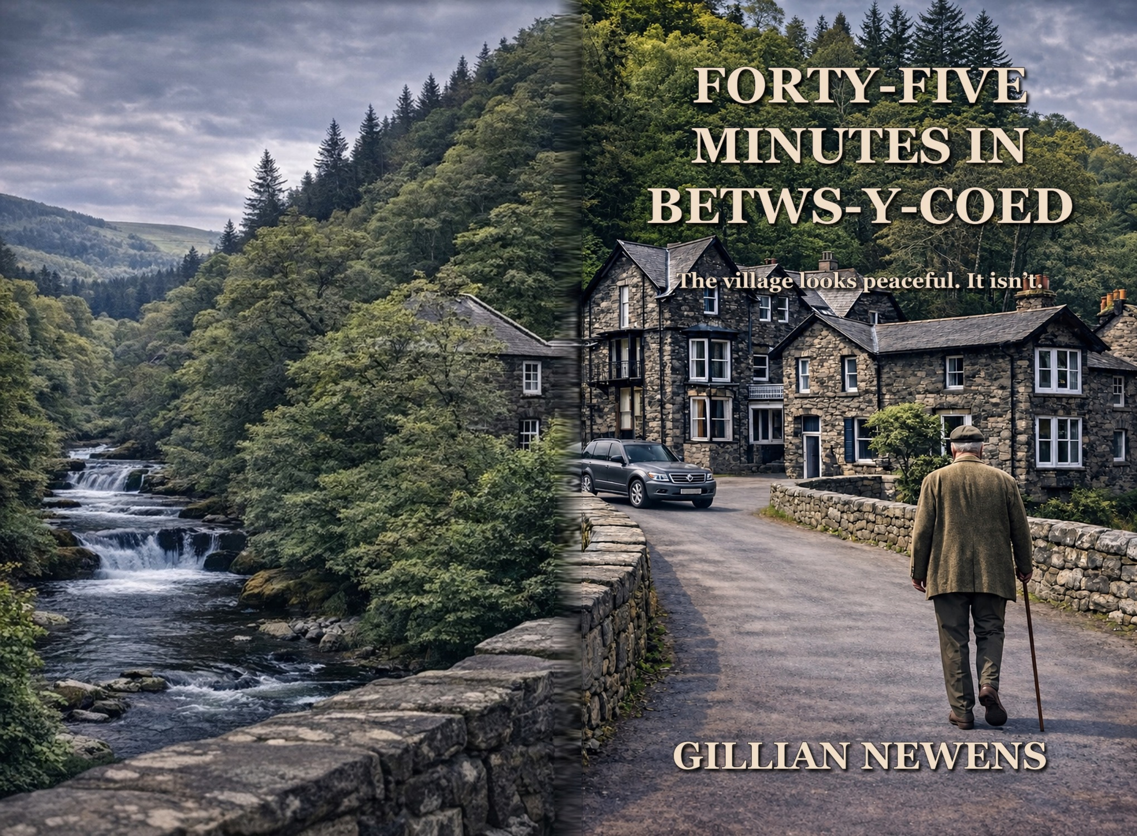 Forty-Five Minutes in Betws-y-Coed by Gillian Newens book cover